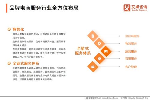 2022年中國(guó)品牌電商服務(wù)行業(yè)研究報(bào)告 物流信息咨詢服務(wù)的崛起與趨勢(shì)