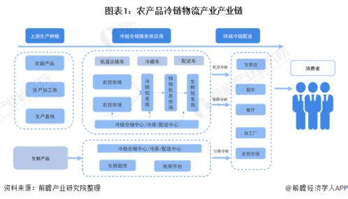 農(nóng)產(chǎn)品冷鏈物流產(chǎn)業(yè)鏈全景梳理與區(qū)域發(fā)展熱力圖